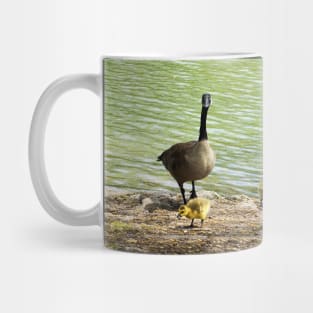 Canada Goose Family With Their Goslings Mug